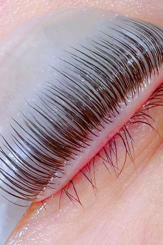 Flex Curl Shields (4 pairs)