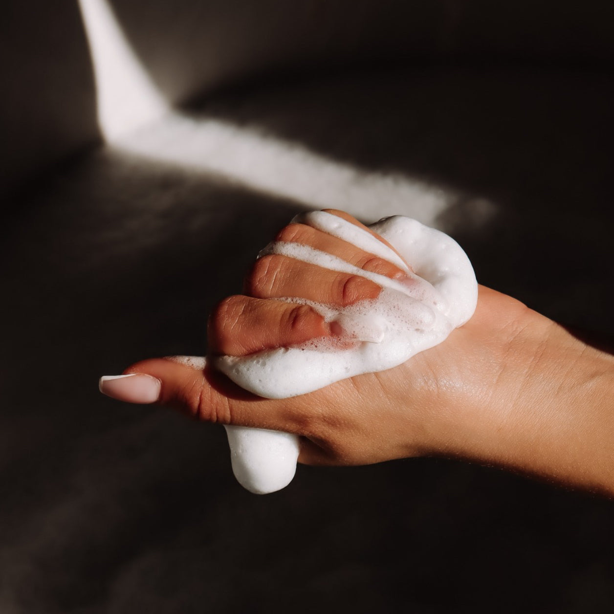 Mousse de Roche