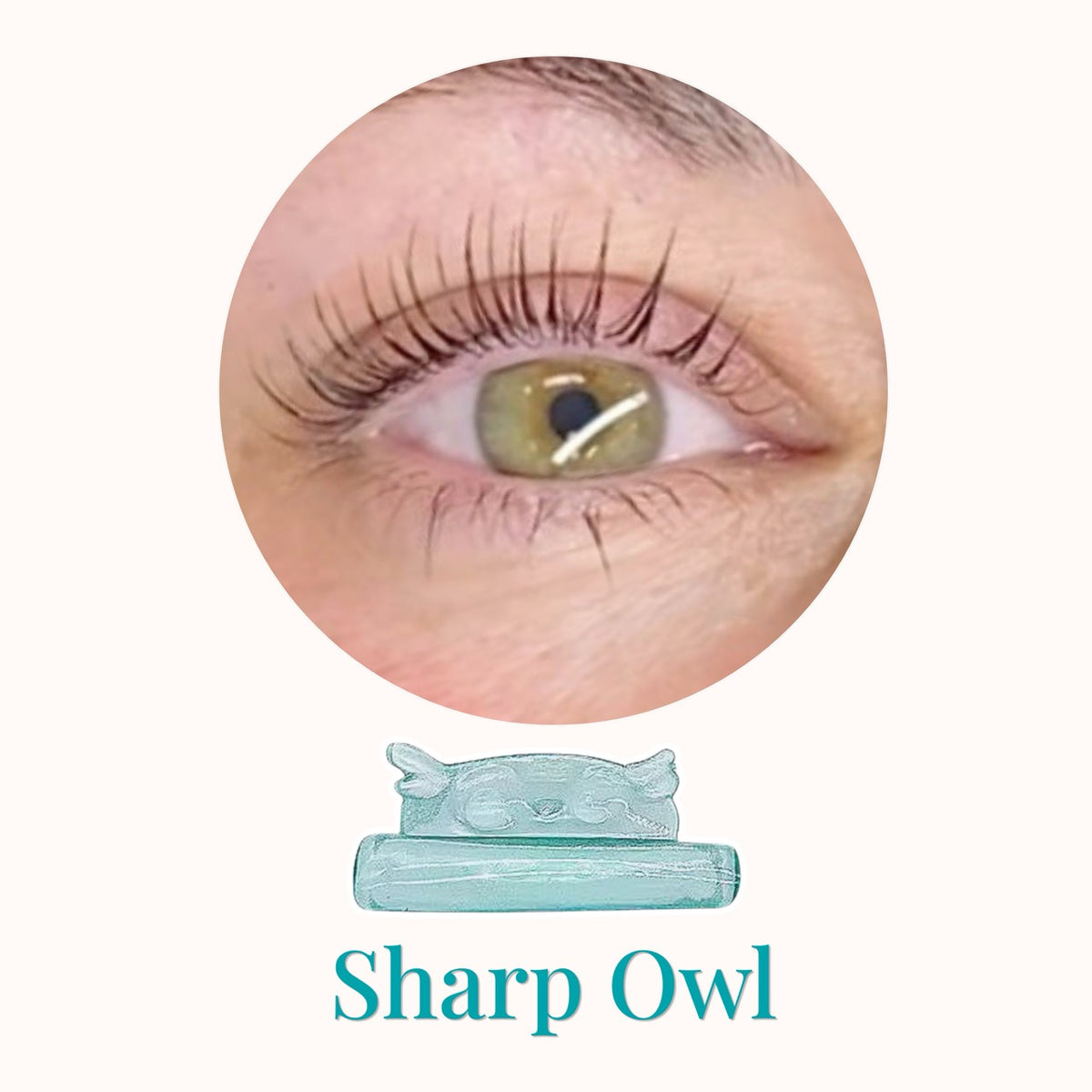Sharp Owl Shields - Naturelle Beauty