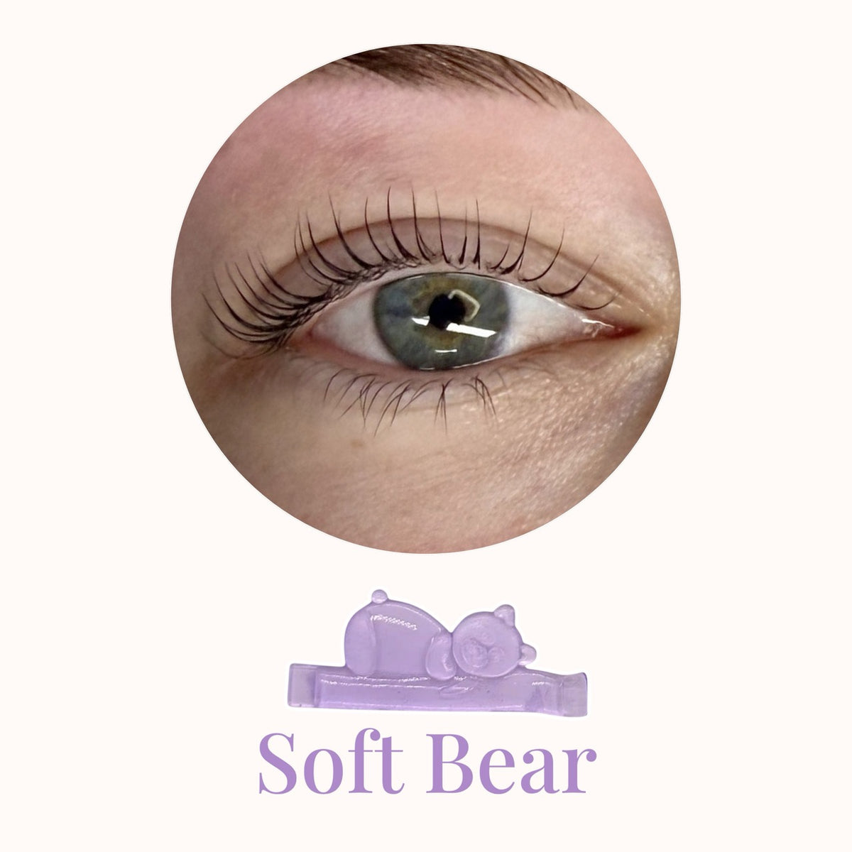 Korean Soft Bear Shields - Naturelle Beauty