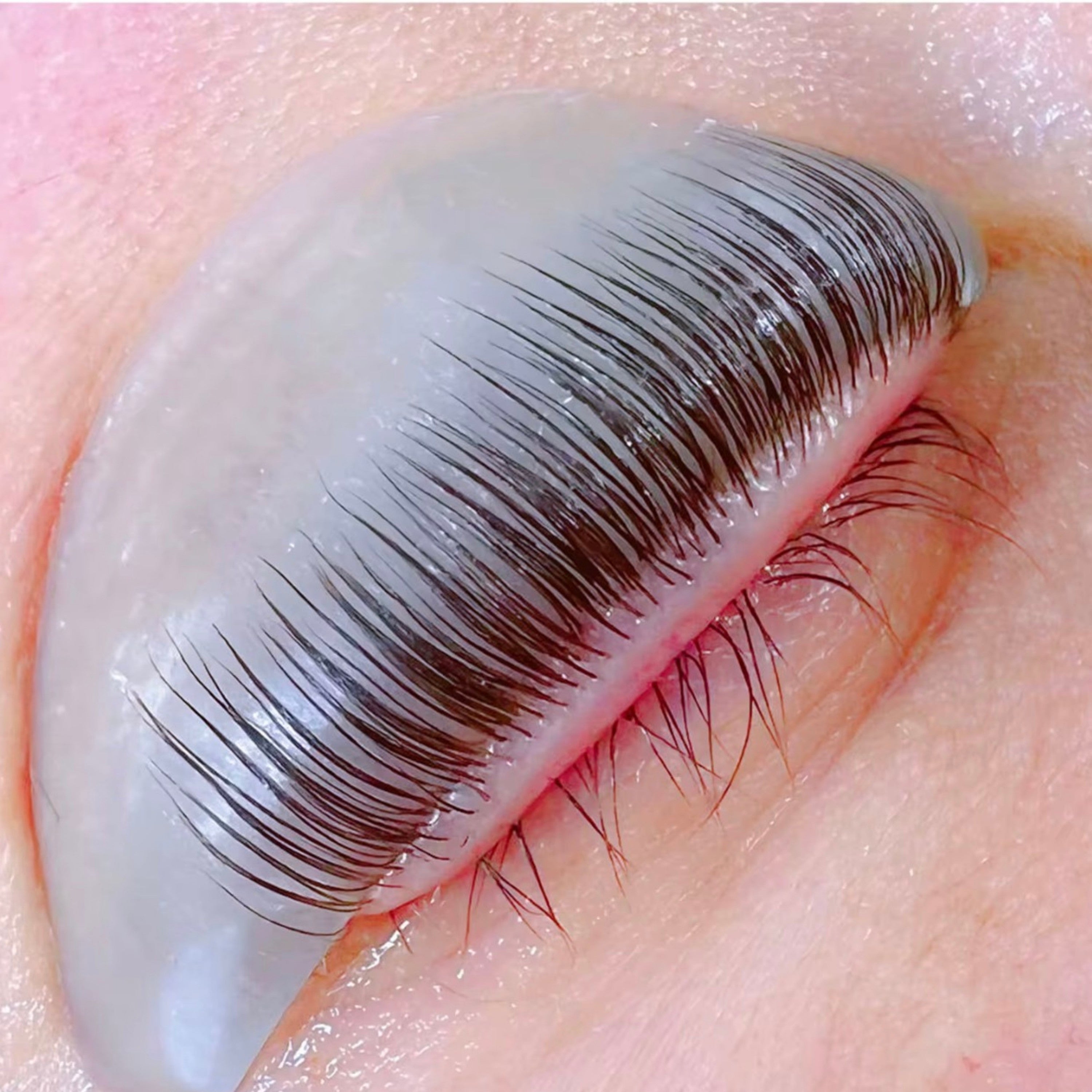 Flex Curl Shields (Teardrop / UL-curl)