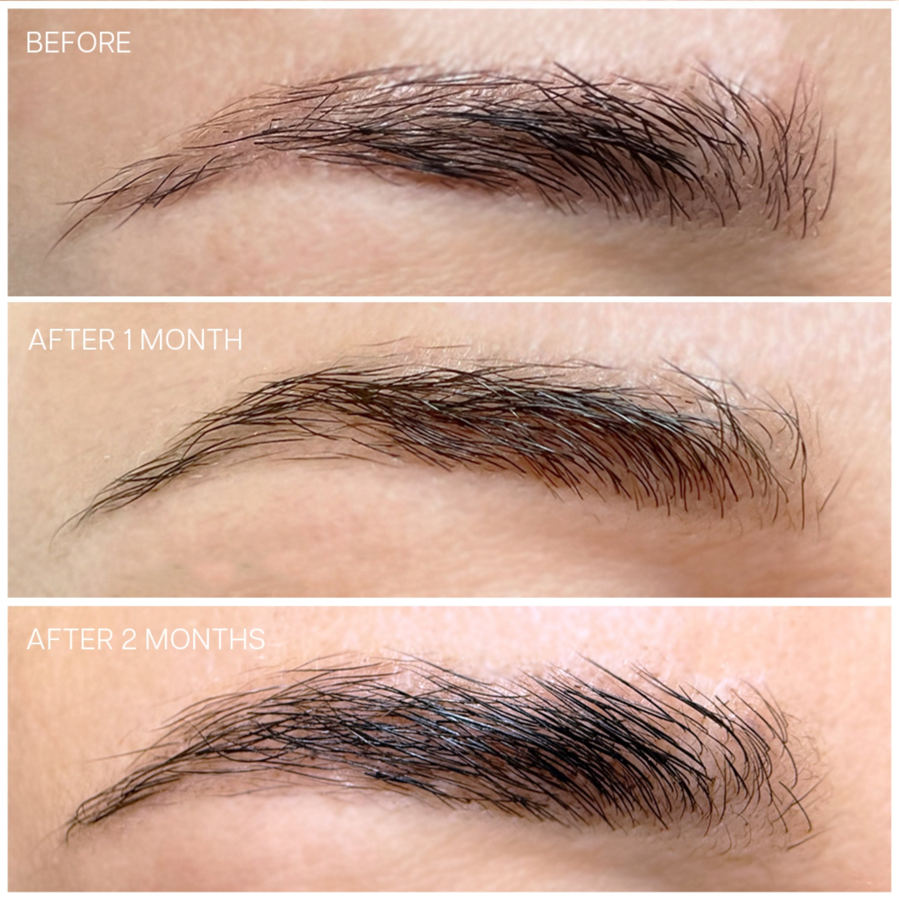 Lash & Brow Filler